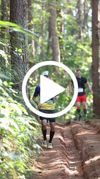 BIB:  <button type="button" onclick="openModal(26569664)" class="btn btn-primary btn-sm float-right" data-toggle="modal" data-target=".modal-high-quality">
                <i class="fa fa-download"></i> Download
                </button>